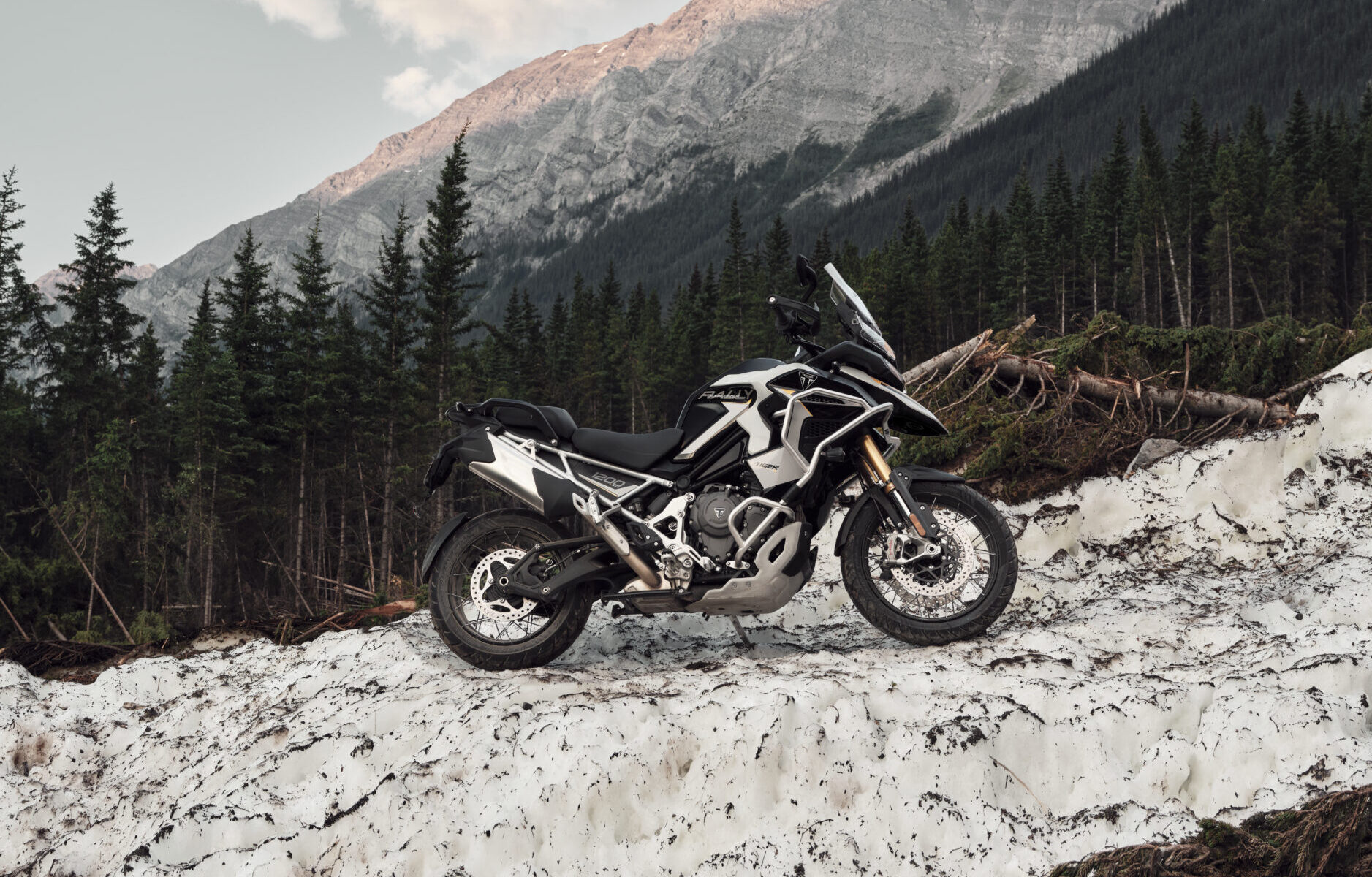 Triumph Tiger 1200 – brytyjski atak w przyszłość z nową technologią.